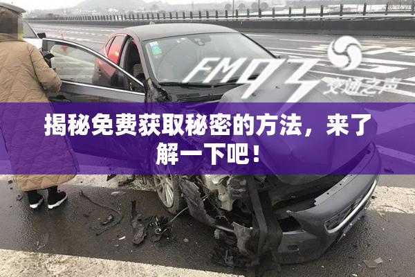 揭秘免费获取秘密的方法，来了解一下吧！