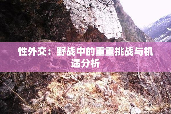 性外交：野战中的重重挑战与机遇分析