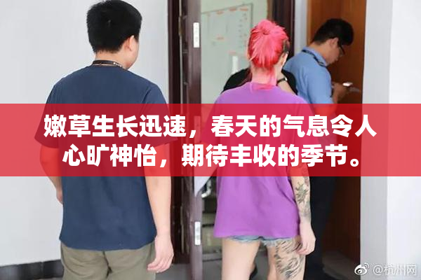 嫩草生长迅速，春天的气息令人心旷神怡，期待丰收的季节。