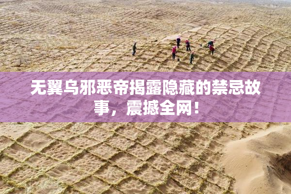 无翼乌邪恶帝揭露隐藏的禁忌故事，震撼全网！