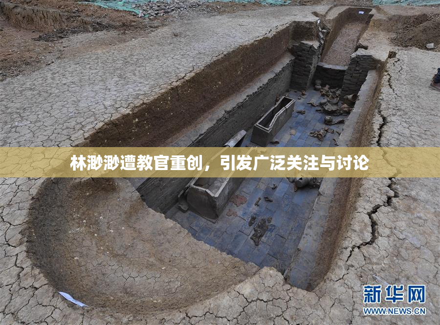 林渺渺遭教官重创，引发广泛关注与讨论