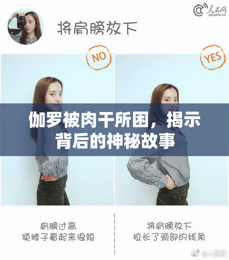 伽罗被肉干所困，揭示背后的神秘故事