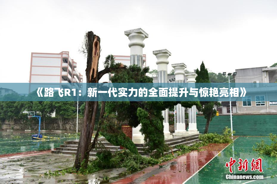 《路飞R1：新一代实力的全面提升与惊艳亮相》
