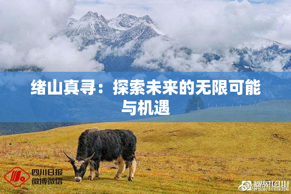 绪山真寻：探索未来的无限可能与机遇