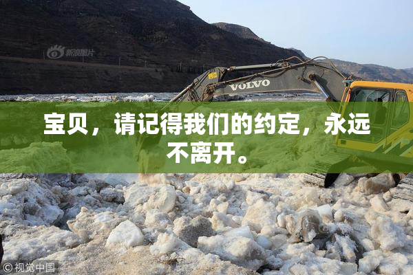 宝贝，请记得我们的约定，永远不离开。