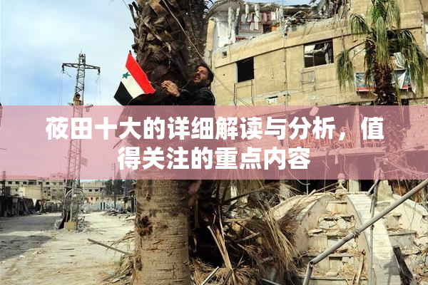 莜田十大的详细解读与分析，值得关注的重点内容
