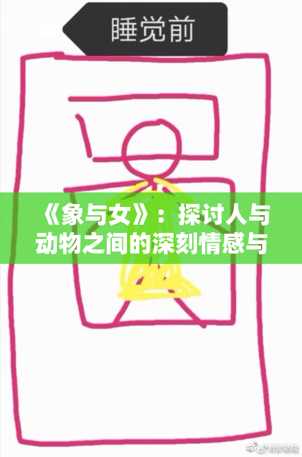 《象与女》：探讨人与动物之间的深刻情感与羁绊
