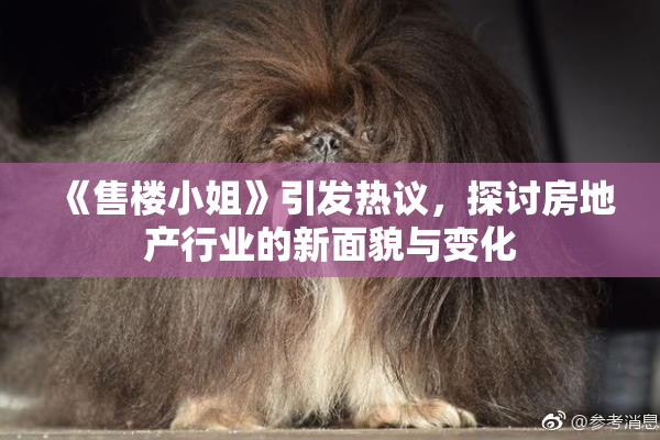 《售楼小姐》引发热议，探讨房地产行业的新面貌与变化