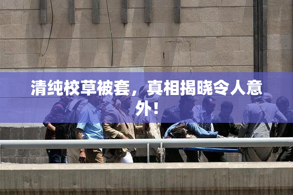 清纯校草被套，真相揭晓令人意外！