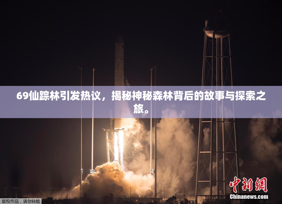 69仙踪林引发热议，揭秘神秘森林背后的故事与探索之旅。
