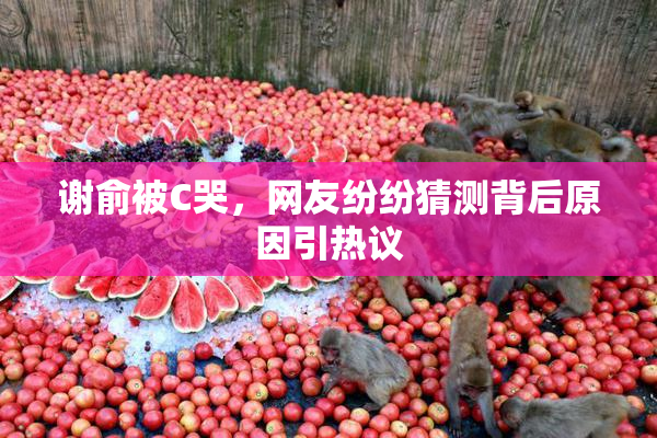 谢俞被C哭，网友纷纷猜测背后原因引热议