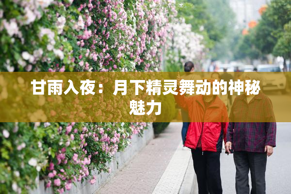 甘雨入夜：月下精灵舞动的神秘魅力