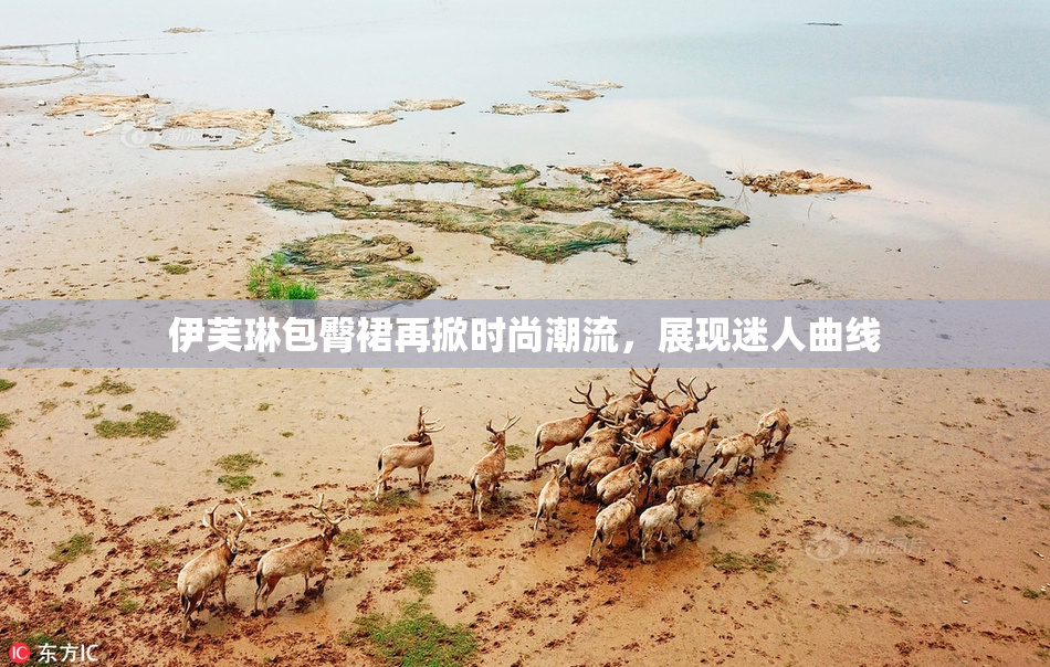 伊芙琳包臀裙再掀时尚潮流，展现迷人曲线