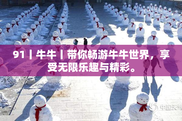 91丨牛牛丨带你畅游牛牛世界，享受无限乐趣与精彩。