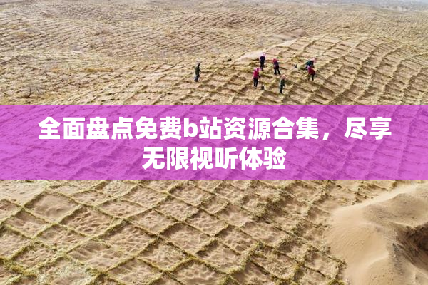 全面盘点免费b站资源合集，尽享无限视听体验