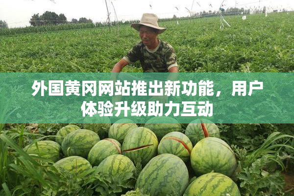 外国黄冈网站推出新功能，用户体验升级助力互动