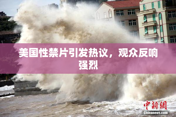 美国性禁片引发热议，观众反响强烈