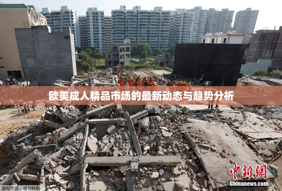 欧美成人精品市场的最新动态与趋势分析
