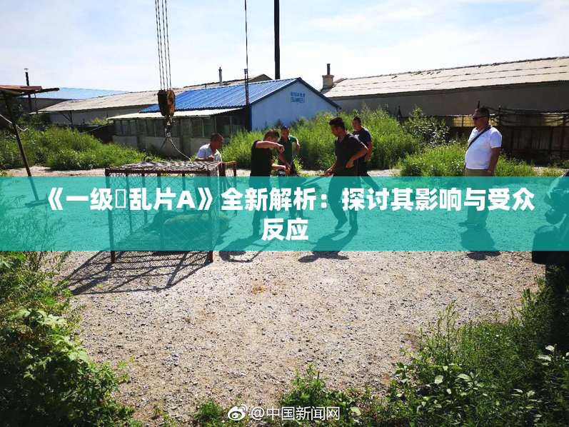 《一级婬乱片A》全新解析：探讨其影响与受众反应