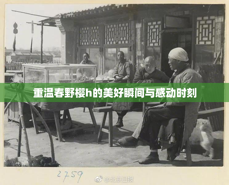 重温春野樱h的美好瞬间与感动时刻
