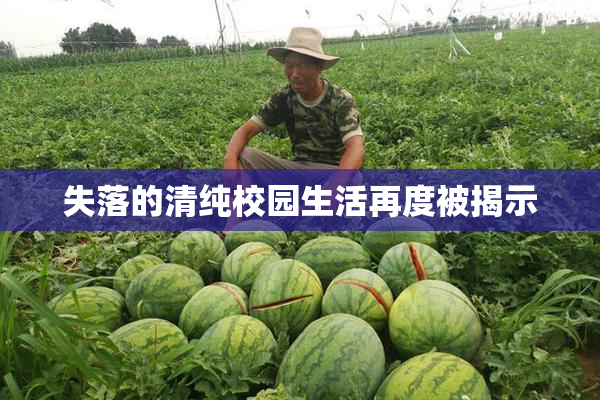 失落的清纯校园生活再度被揭示