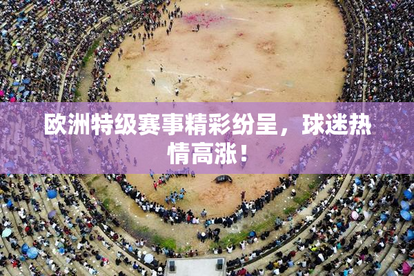 欧洲特级赛事精彩纷呈，球迷热情高涨！