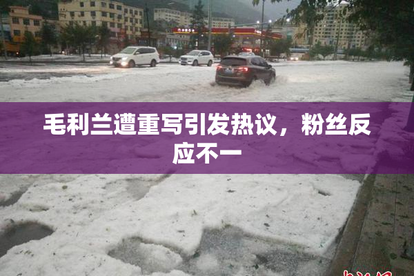 毛利兰遭重写引发热议，粉丝反应不一