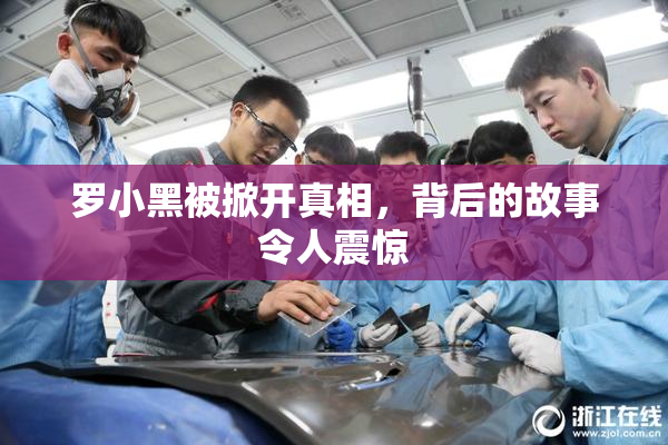 罗小黑被掀开真相，背后的故事令人震惊
