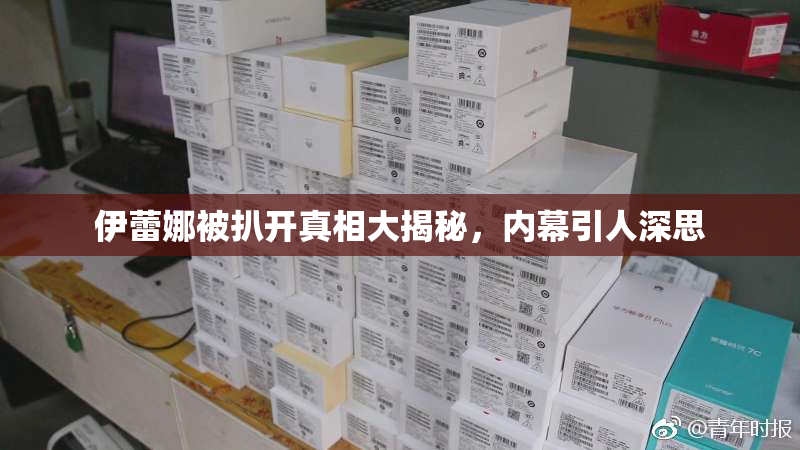 伊蕾娜被扒开真相大揭秘，内幕引人深思