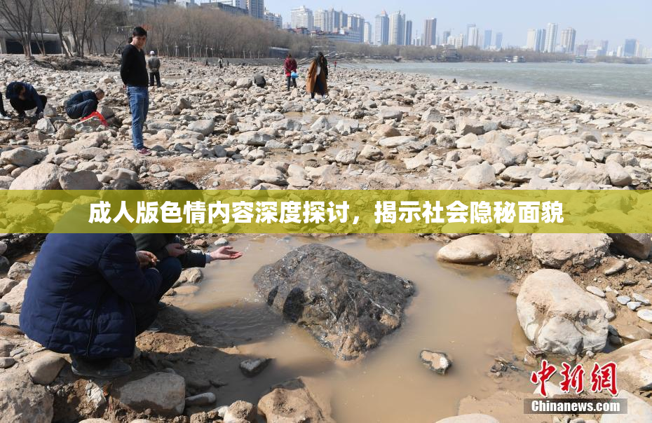 成人版色情内容深度探讨，揭示社会隐秘面貌