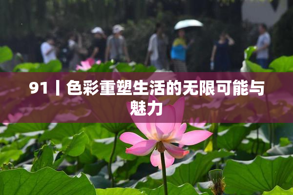 91丨色彩重塑生活的无限可能与魅力
