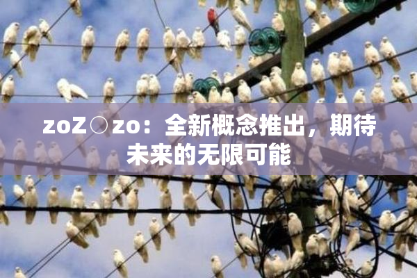 zoZ○zo：全新概念推出，期待未来的无限可能