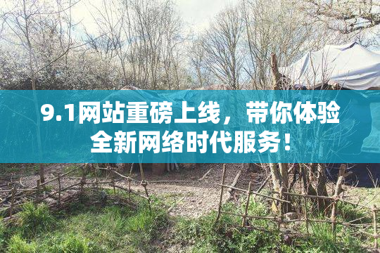 9.1网站重磅上线，带你体验全新网络时代服务！