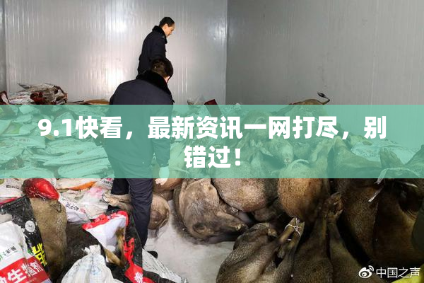 9.1快看，最新资讯一网打尽，别错过！
