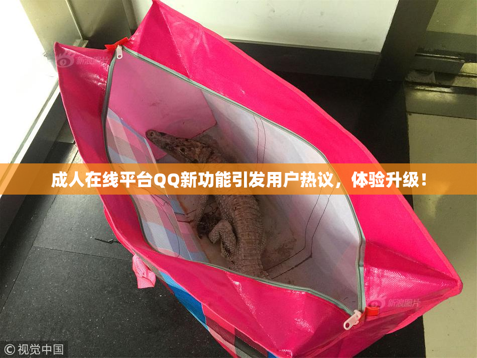 成人在线平台QQ新功能引发用户热议，体验升级！