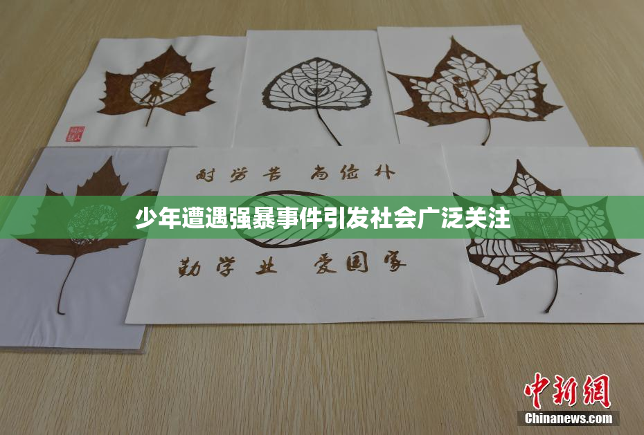 少年遭遇强暴事件引发社会广泛关注