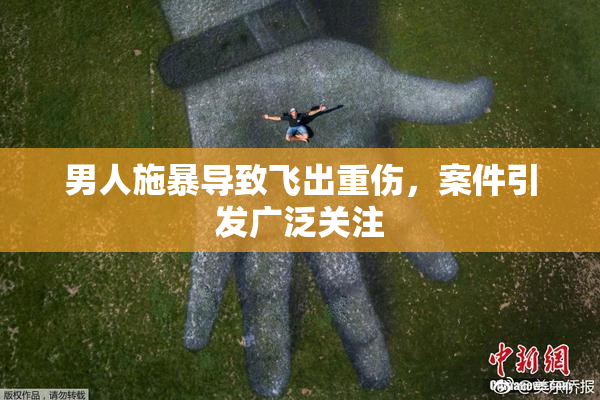 男人施暴导致飞出重伤，案件引发广泛关注