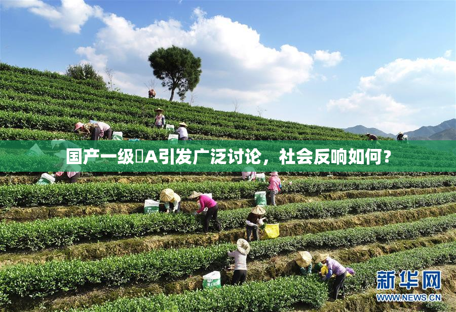 国产一级婬A引发广泛讨论，社会反响如何？