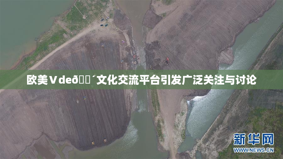 欧美Ⅴde🔴文化交流平台引发广泛关注与讨论
