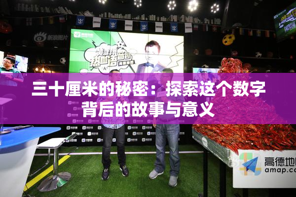 三十厘米的秘密：探索这个数字背后的故事与意义