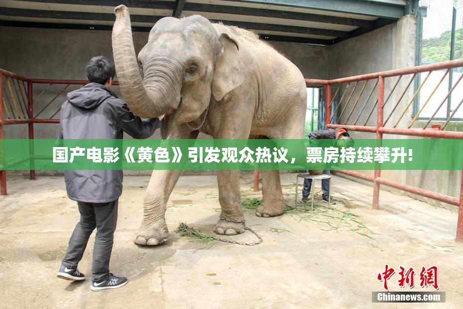 国产电影《黄色》引发观众热议，票房持续攀升!
