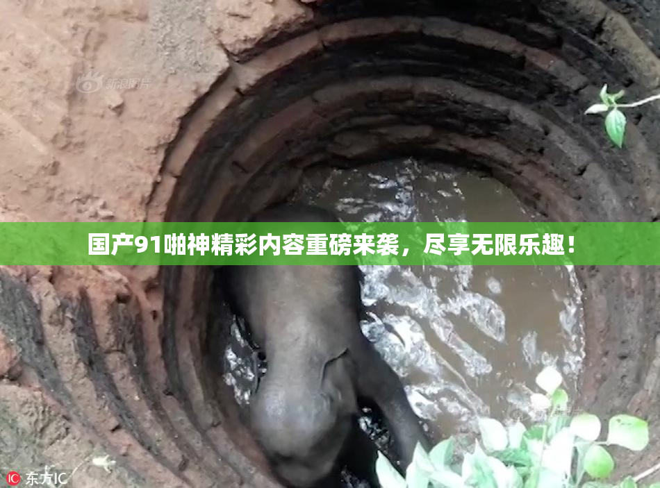 国产91啪神精彩内容重磅来袭，尽享无限乐趣！