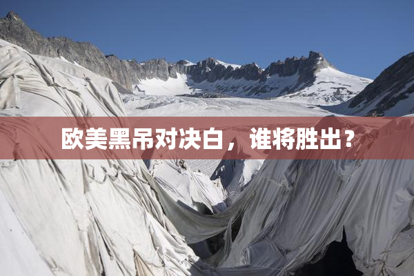 欧美黑吊对决白，谁将胜出？