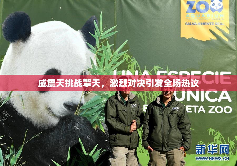 威震天挑战擎天，激烈对决引发全场热议
