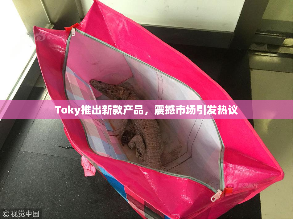 Toky推出新款产品，震撼市场引发热议