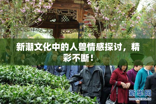 新潮文化中的人兽情感探讨，精彩不断！