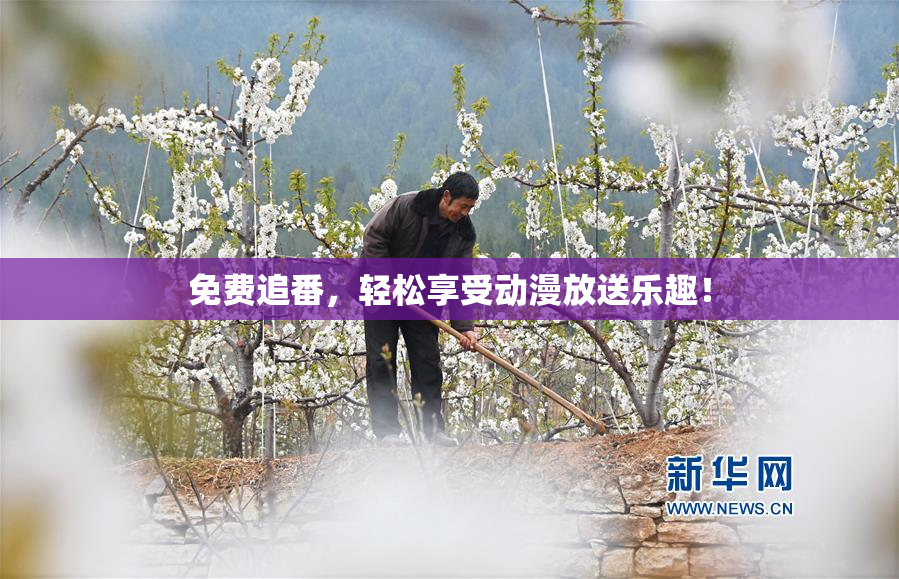 免费追番，轻松享受动漫放送乐趣！
