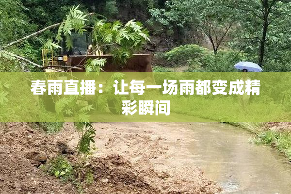 春雨直播：让每一场雨都变成精彩瞬间