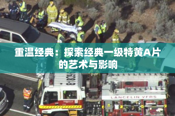 重温经典：探索经典一级特黄A片的艺术与影响