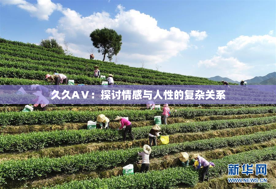 久久AⅤ：探讨情感与人性的复杂关系
